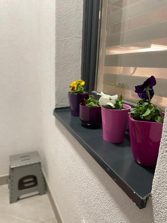 Apartment Mik